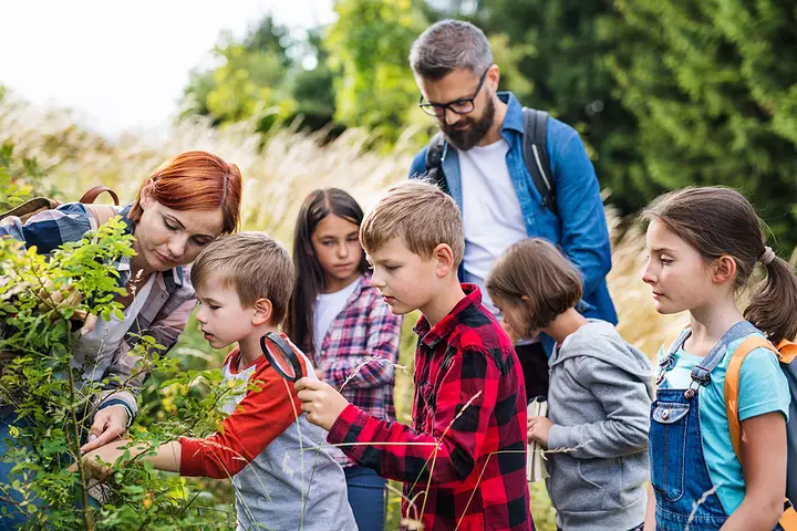 Carlsbad School Trip Bus Rentals