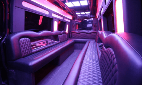 Santa Ana 14 Passenger Sprinter Bus Interior